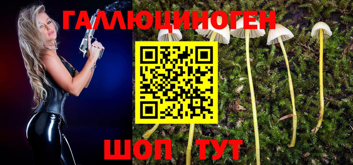 Лыткарино  Псилоцибиновые грибы ЛСД  Вход с VPN  Галлюциногенные грибы Cubensis 