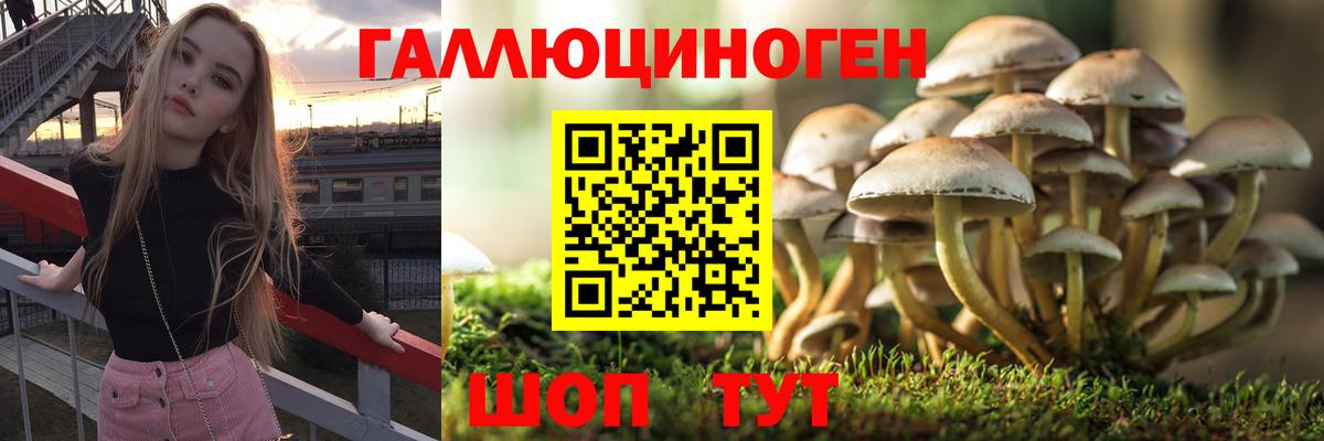 Галлюциногенные грибы прущие грибы Лыткарино